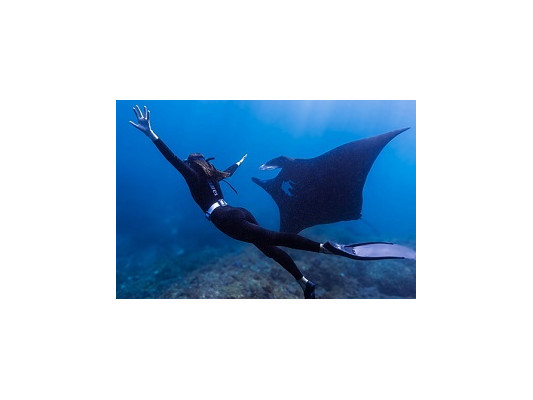 Чем отличается подводная охота от фридайвинга