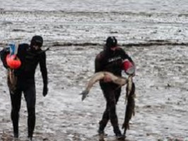 Как правильно заниматься подводной охотой в паре