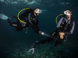 Типичные ошибки новичков во время дайвинга