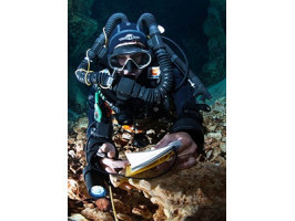 Яка відмінність професійного дайвінгу від військового