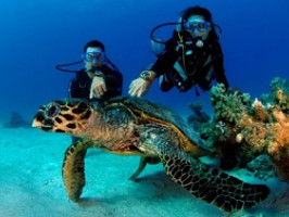 Обзор лучших компенсаторов для дайвинга 2026 года