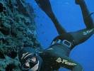 Подводная охота в Доминиканской Республике
