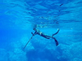 Найкращі місця для підводного полювання в Гондурасі