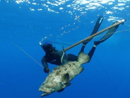 Топ 10 морських риб за складністю у підводному полюванні