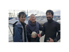 Испанский корабль с сокровищами ищут у берегов Японии
