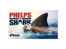 Майкл Фелпс проиграл гонку большой белой акуле