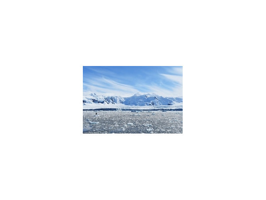 Фридайвинг в Антарктиде набирает популярность