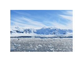 Фридайвинг в Антарктиде набирает популярность